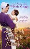 Her Amish Springtime Miracle (eBook, ePUB)