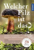 Welcher Pilz ist das? (Mängelexemplar)