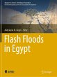 Flash Floods in Egypt - Bild 1