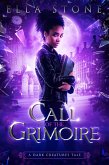 Call of the Grimoire: A Dark Creatures Tale (The Dark Creatures Saga) (eBook, ePUB)