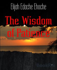 The Wisdom of Patience (eBook, ePUB) - Edache Ehoche, Elijah