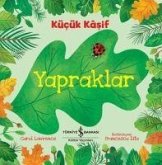 Yapraklar - Kücük Kasif