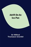 Adrift on an Ice-Pan