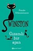 Winston - Gizemli Bir Ajan