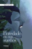 Enredado en sus sueños (eBook, ePUB)