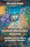 SPIRITUELLE HERAUSFORDERUNGEN MEISTERN (eBook, ePUB)