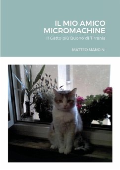 Il Mio Amico Micromachine - Mancini, Matteo