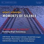 Moments Of Silence-Hackbrett In Concert