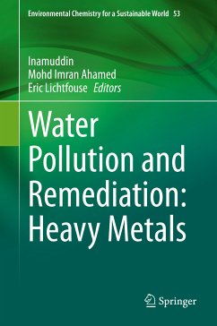 Water Pollution and Remediation: Heavy Metals (eBook, PDF)