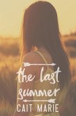 The Last Summer (eBook, ePUB)
