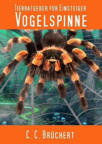 Tierratgeber für Einsteiger - Vogelspinne (eBook, ePUB)