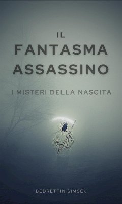 Il Fantasma Assassino (eBook, ePUB) - Simsek, Bedrettin