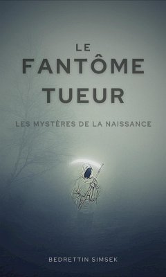 Le Fantôme Tueur (eBook, ePUB) - Simsek, Bedrettin