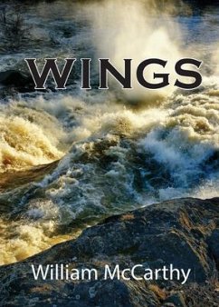 Cover Wings (eBook, ePUB)
