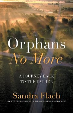 Orphans No More: A Journey Back to the Father - Flach, Sandra