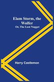 Elam Storm, the Wolfer; Or, The Lost Nugget