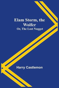 Elam Storm, the Wolfer; Or, The Lost Nugget - Castlemon, Harry