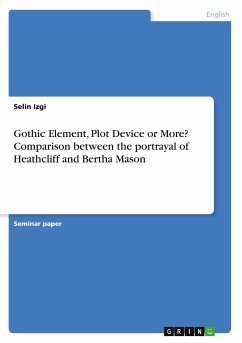 Gothic Element, Plot Device or More? Comparison between the portrayal of Heathcliff and Bertha Mason - Izgi, Selin