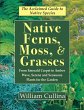 Native Ferns, Moss, and Grasses - Bild 1