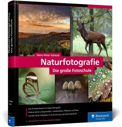 Naturfotografie - Schaub, Hans-Peter