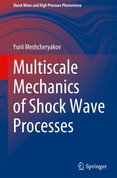 Multiscale Mechanics of Shock Wave Processes - Meshcheryakov, Yurii