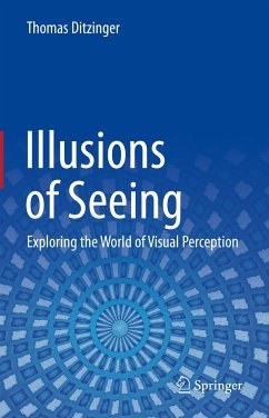 Illusions of Seeing (eBook, PDF) - Ditzinger, Thomas