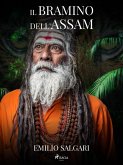 Il bramino dell'Assam (eBook, ePUB)