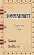 Sommarnatt (eBook, ePUB) - Bild 1