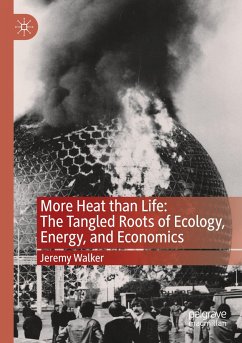More Heat Than Life: The Tangled Roots of Ecology, Energy, and Economics - Walker, Jeremy