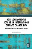 Non-Governmental Actors in International Climate Change Law (eBook, ePUB)