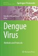 Dengue Virus - Bild 1