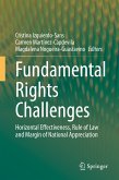 Fundamental Rights Challenges (eBook, PDF)