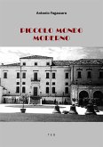 Piccolo mondo moderno (eBook, ePUB)