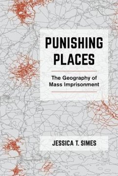 Punishing Places - Simes, Jessica T.