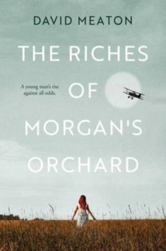 The Riches of Morgan's Orchard - Meaton, David