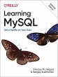 Learning MySQL - Bild 1