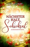 Nächster Halt, Schicksal (eBook, ePUB)