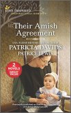 Their Amish Agreement (eBook, ePUB)