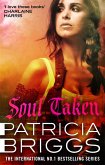 Soul Taken (eBook, ePUB)