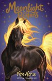 Fire Horse (eBook, ePUB)