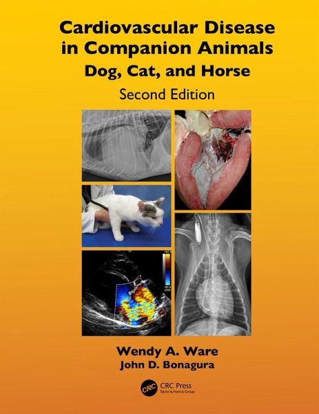 Cardiovascular Disease in Companion Animals (eBook, PDF)