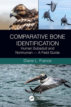 Comparative Bone Identification - France, Diane L. (Colorado State University, Fort Collins, USA)