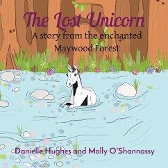 The Lost Unicorn - Hughes, Danielle