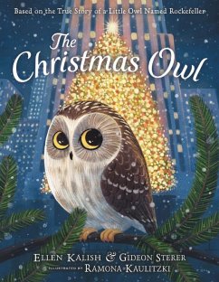 The Christmas Owl - Sterer, Gideon; Kalish, Ellen