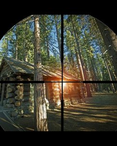 Die Gewissensentscheidung (eBook, ePUB) - Fischer, Beate