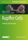 Kupffer Cells