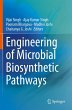 Engineering of Microbial Biosynthetic... - Bild 1