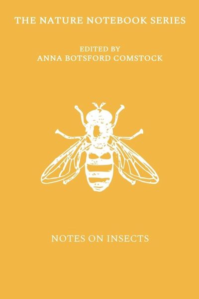 Notes on Insects
