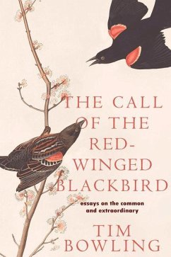 The Call of the Red-Winged Blackbird: Essays on the Common and Extraordinary - Bowling, Tim