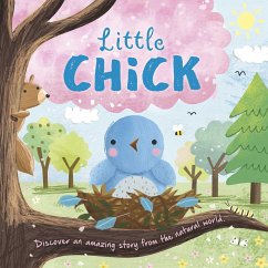 Nature Stories: Little Chick-Discover an Amazing Story from the Natural World: Padded Board Book - Igloobooks